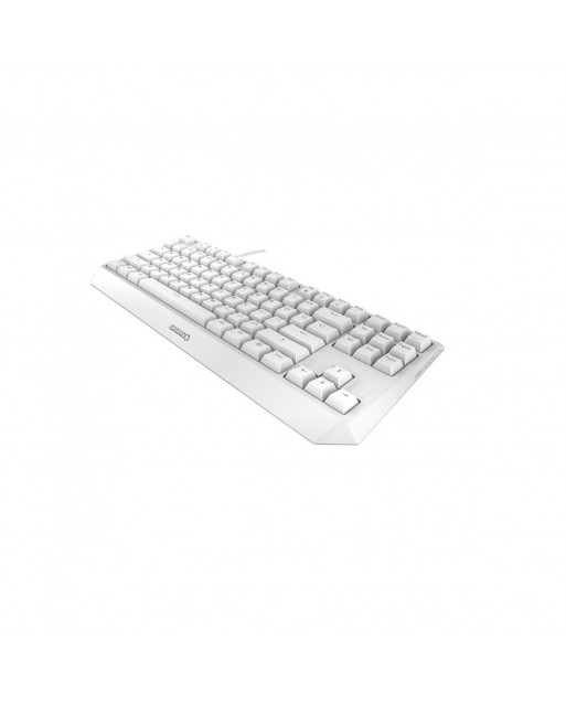 CHERRY MX BOARD 1.0 TKL 鍵盤 白色