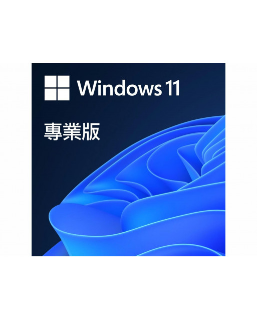 Microsoft 微軟 OEM Windows 11 PRO專業版  (繁體中文)