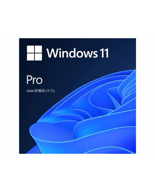 Microsoft 微軟 OEM Windows 11 PRO專業版 (英文版)