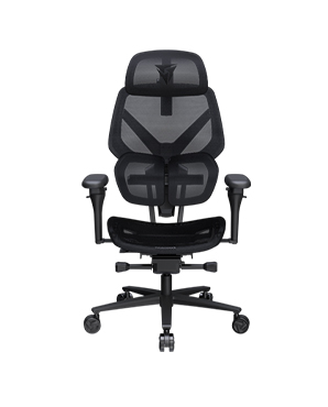 Thunderx3 Flex Pro Ergonomic Gaming Chair